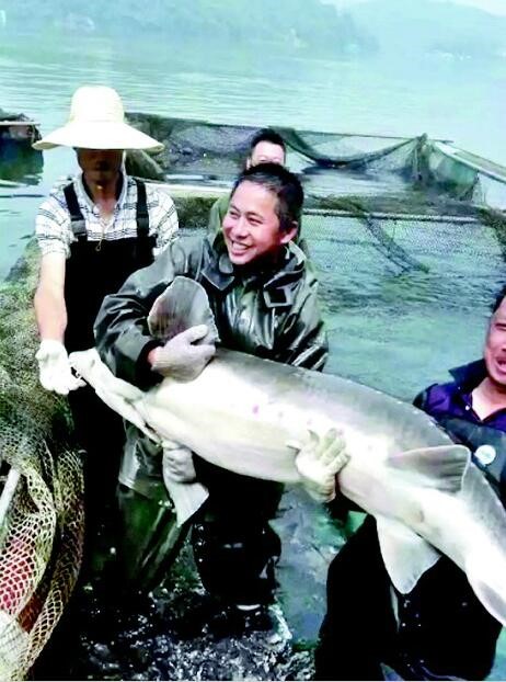 湖北長(zhǎng)陽(yáng)2400萬(wàn)斤清江魚(yú)愁銷路 福中小6水產(chǎn)網(wǎng)急援手 title=
