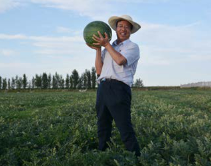 找準農(nóng)業(yè)“痛點”，新發(fā)地布局農(nóng)產(chǎn)品B2B title=